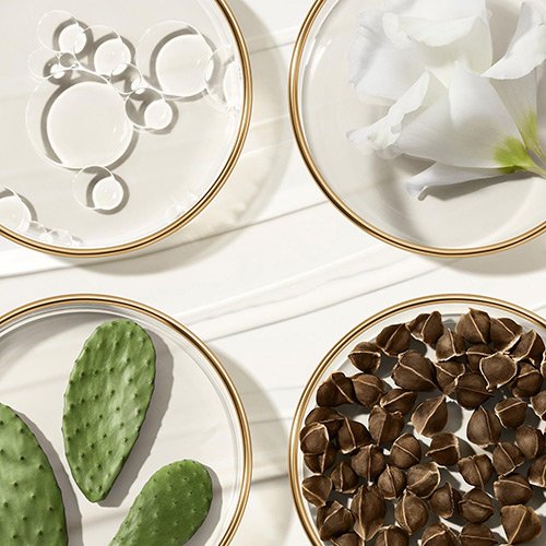 ESTEE LAUDER-Revitalizing Supreme+ - Delicate Youth Revealing